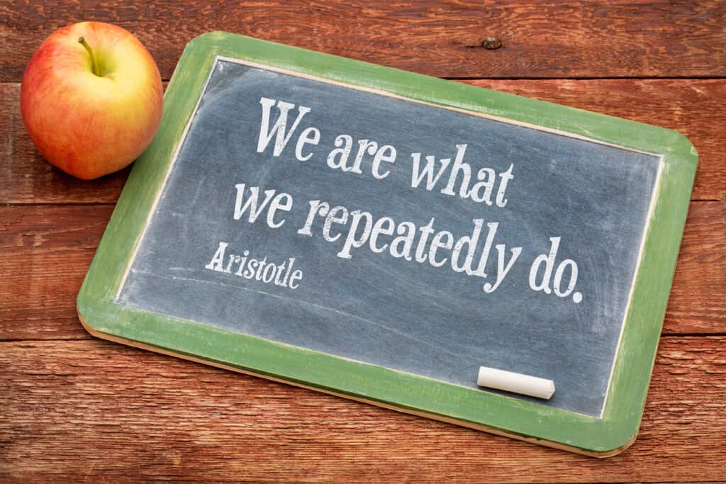 We are what we do - Aristotle quote on a slate blackboard against red barn wood - importance of habits and rituals